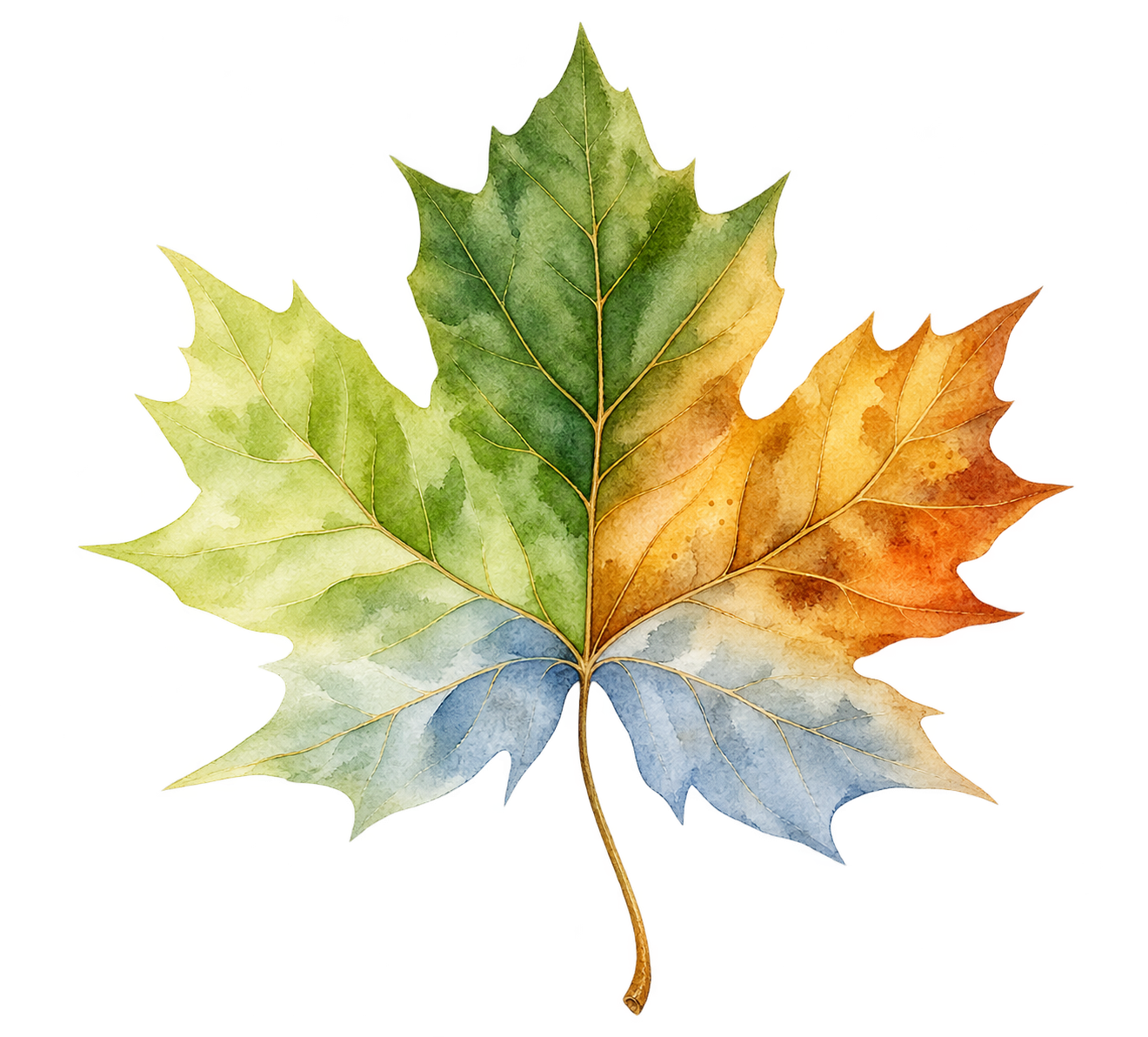 Feuille peinte aux couleurs des quatre saisons