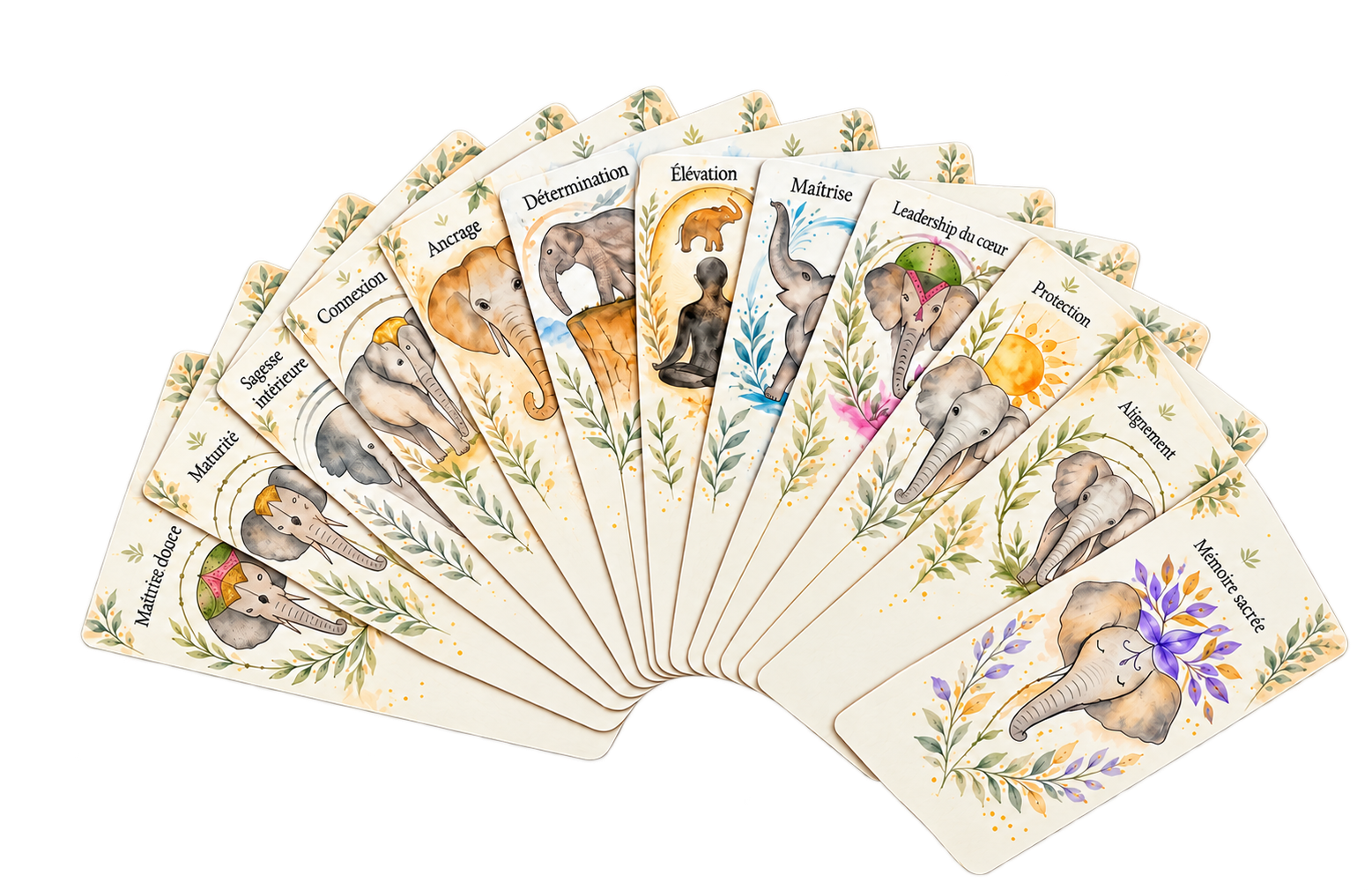Éventail des cartes de l’Oracle des Éléphants
